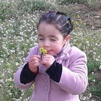 المنصف يخلف