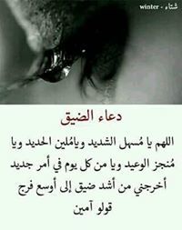 زهرة الكبرياء