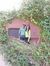 Sneha P...