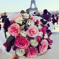 Shadwa Elsayed