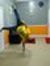 Anand T...