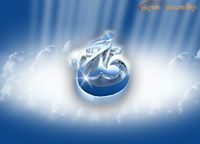 Ahmed Amer