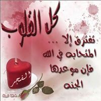 Enas Alaa