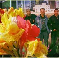 جاسم الزركاني