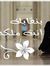 Rasha Aidy