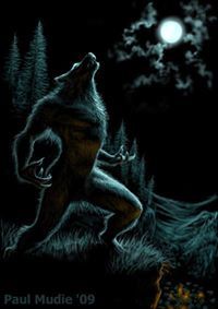 Commanderr Werewollf