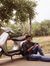 Jeevan Jay