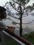 SourAv ...