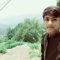 Syed Ali