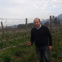 Ροδριγο Βιλλαρροελ