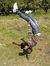 Arjit C...
