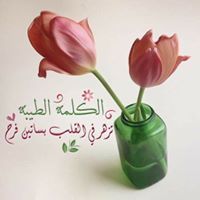مريم حرب