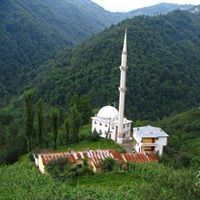 أبومالك نعمان