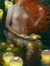 Orgeleuse