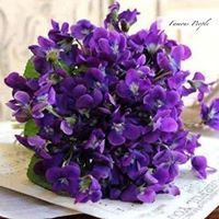 Flora Kvernadze