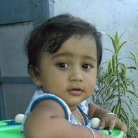 Md Julfikar
