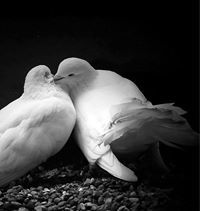 Ганболд Ганаа