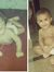 Yasir K...