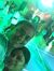 CA Nisha