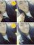 Lesly A...