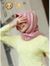 زهراء ا...