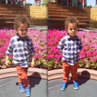 فايز التويجيرى