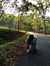 Arief R...
