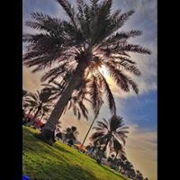 عبدالعزيز الزرع