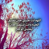 Waleed Mohamed