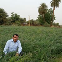 محمد العواضي