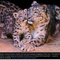 Dorian Hardnett-Miller