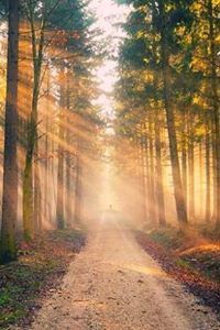 Krishnapriya Kantipudi