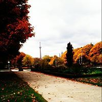 Eiman A.