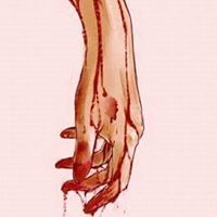 حمامة السلام