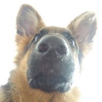 Daniel Hernández Ariza