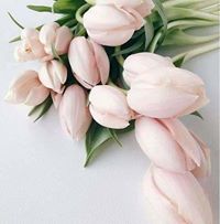 Alshaimaa Abdellatif