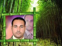 قاسم العياشي