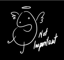 NotImportant