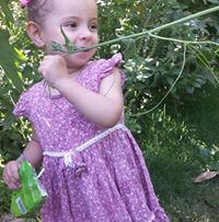 عاصم ابو رودينا