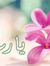 Reem Al...