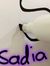 Sadia Safi