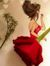 Abir Assaf