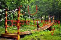 মুকুটহীন সম্রাট