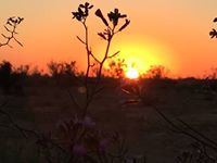 ابراهيم ابوسيف