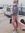 Aline V...
