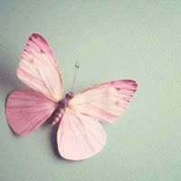 زمزم الدوينى