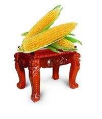 Ngô Đôn