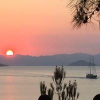 Анастасия Антропова