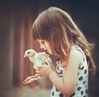 سارة نقابي جنتي