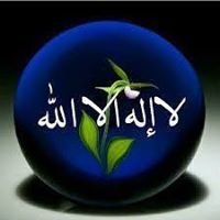Boody Kamel